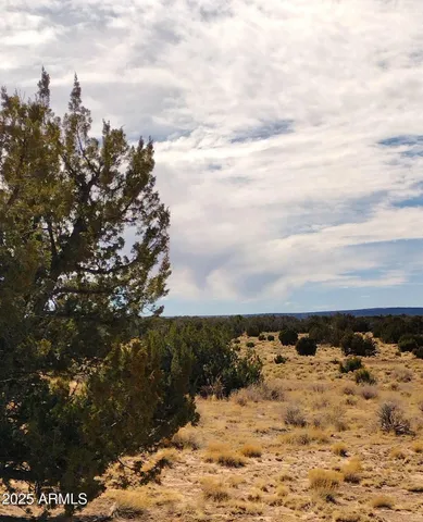 a view of a large body of water with a tree