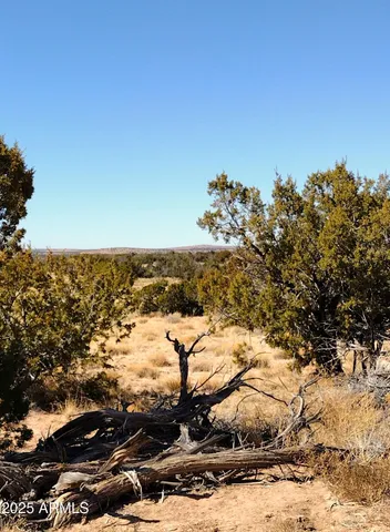 a view of an ocean beach