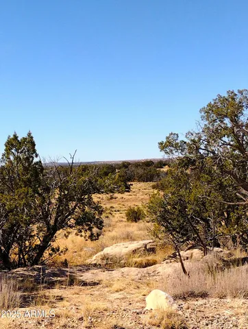 a view of beach and ocean