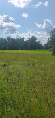 $38,900 | 1013 Scurry Church Road, Chappells, SC 29037
