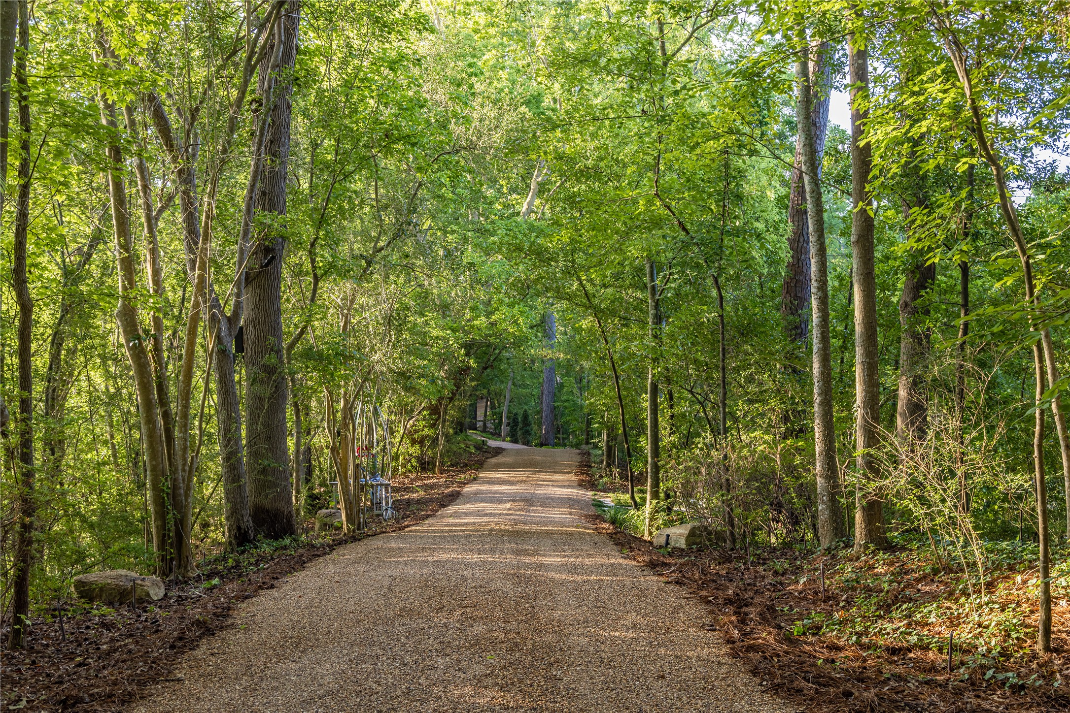 107 Timberwilde Lane Houston, TX 77024 - Photo 25 of 40 A tree-lined gravel road winds gracefully between the manor and guest house, offering both a shaded walking path and a private drive. The deliberate design enhances the estate’s sense of separation, privacy, and exclusivity, while immersing residents and guests in the beauty of the natural surroundings. Each journey down this lane feels like a passage into a world apart—quiet, secure, and steeped in timeless charm.