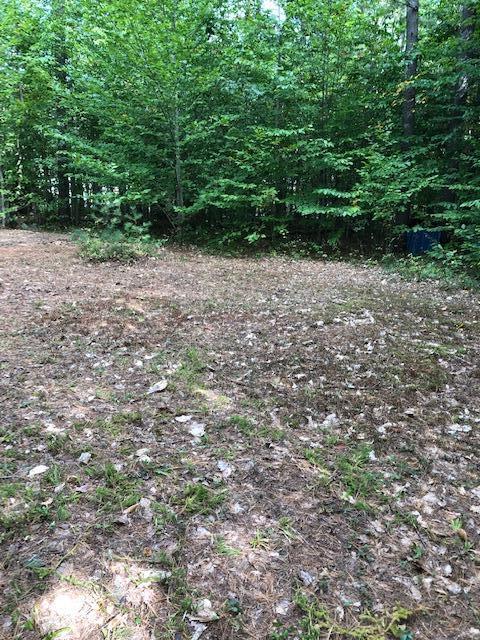 137 Gore Road Naples, ME 04055 - Photo 2 of 7 IMG_3857