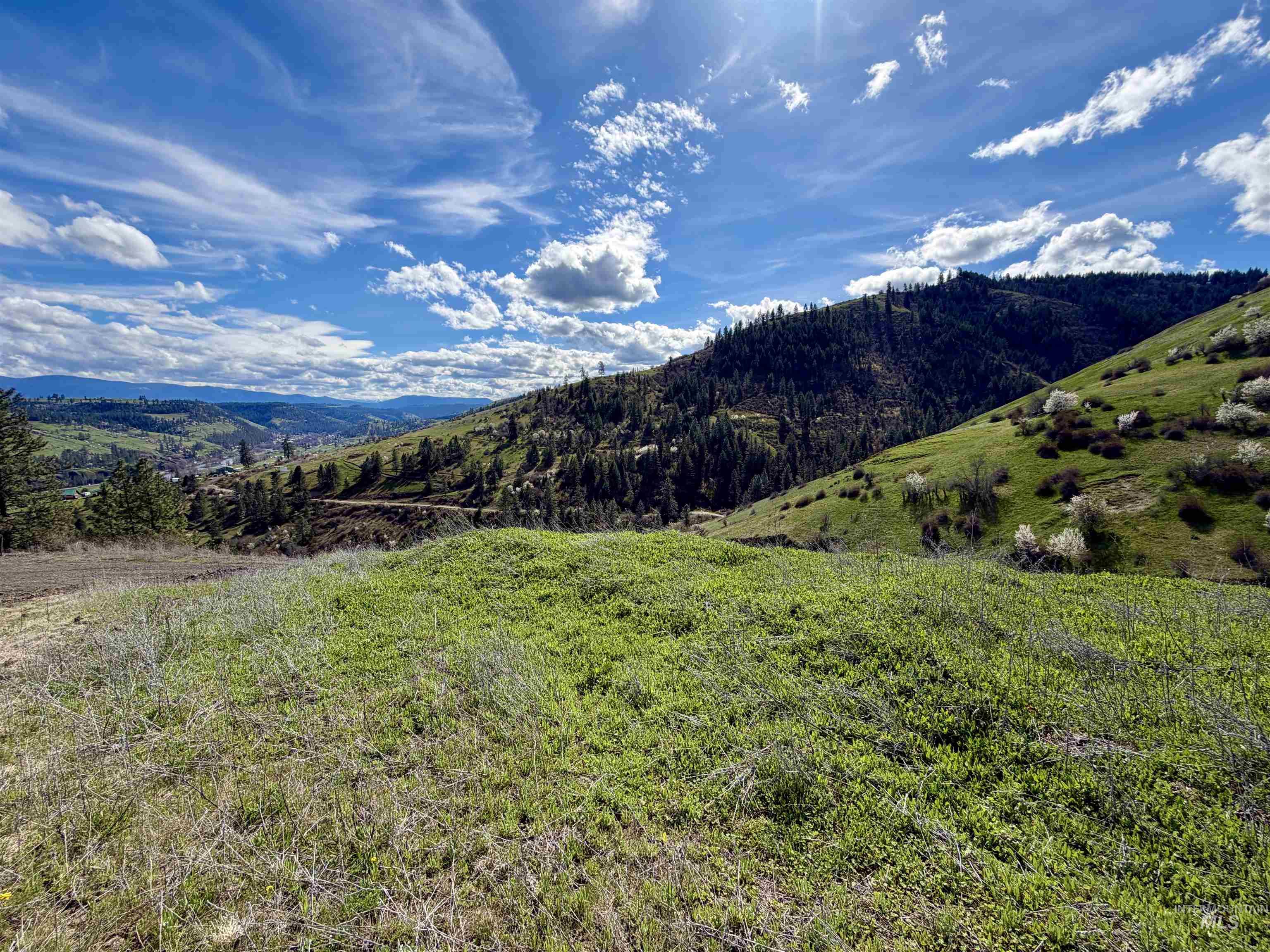 Tbd Tbd Hidden Canyon Road Kooskia, ID 83539 - Photo 1 of 15