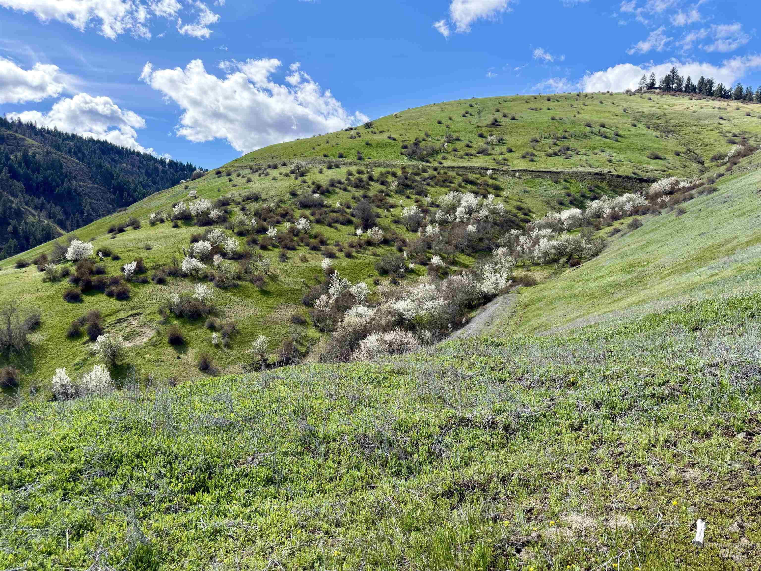 Tbd Tbd Hidden Canyon Road Kooskia, ID 83539 - Photo 12 of 15