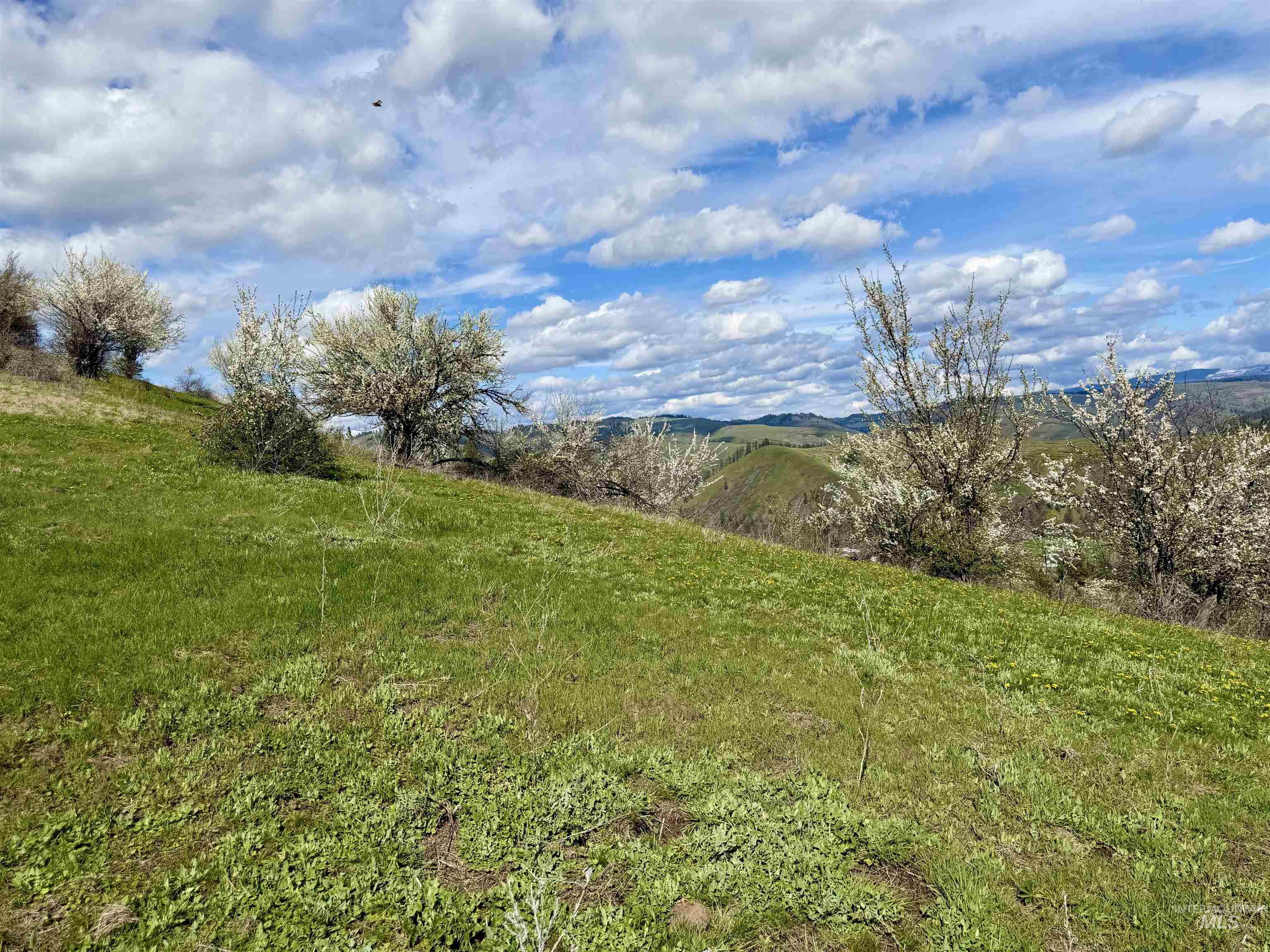 Tbd Tbd Hidden Canyon Road Kooskia, ID 83539 - Photo 14 of 15