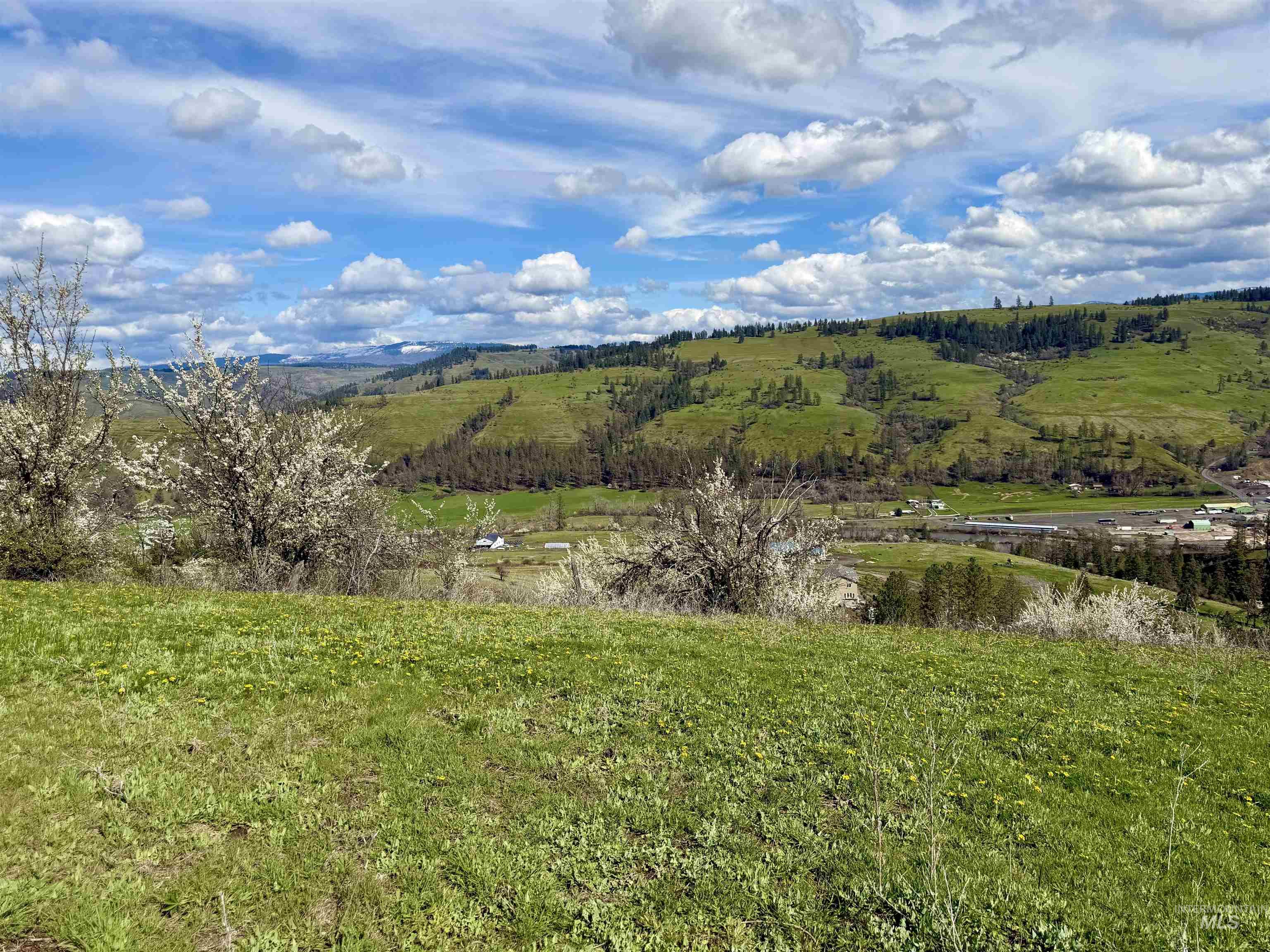 Tbd Tbd Hidden Canyon Road Kooskia, ID 83539 - Photo 15 of 15