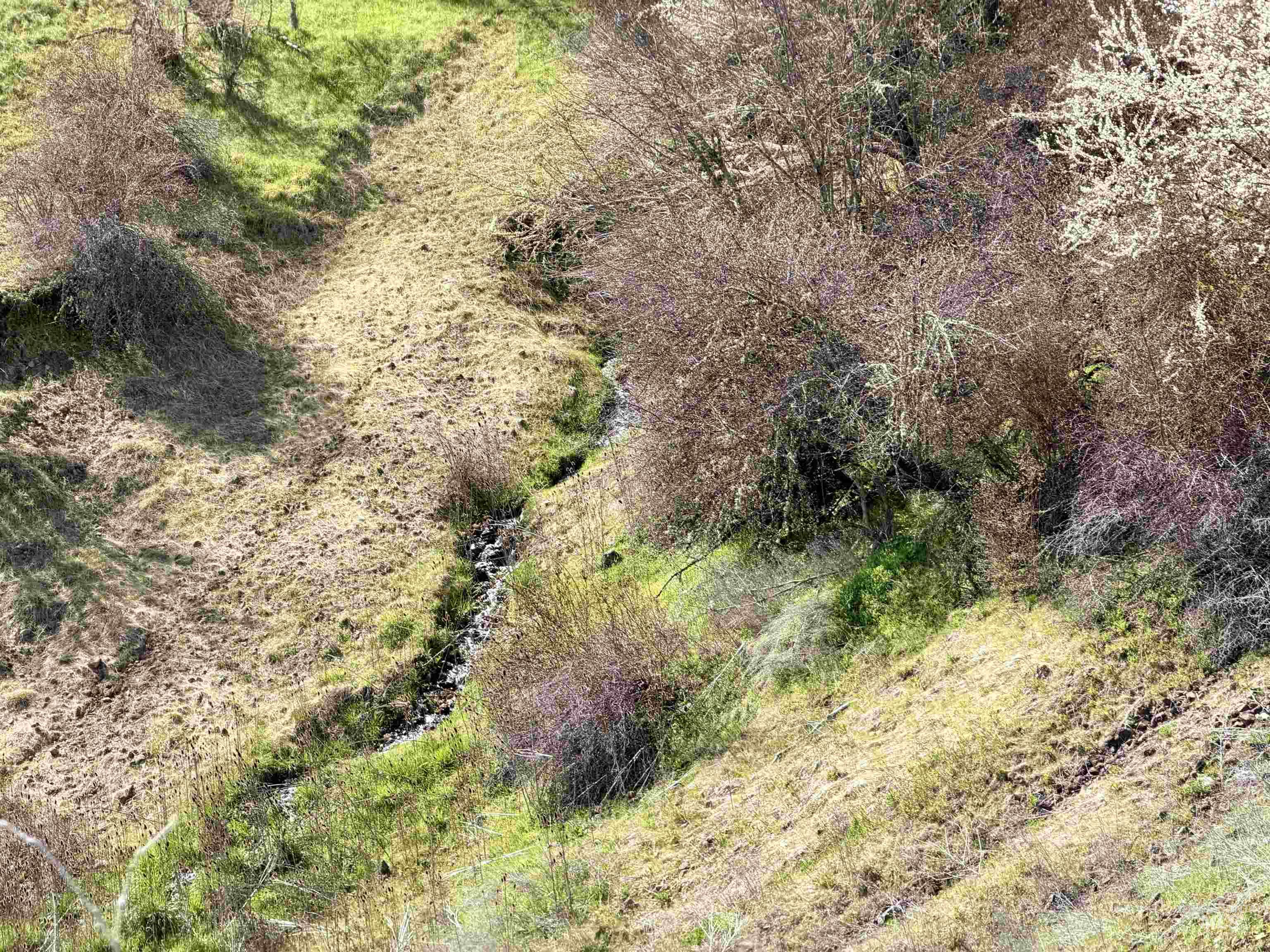 Tbd Tbd Hidden Canyon Road Kooskia, ID 83539 - Photo 5 of 15