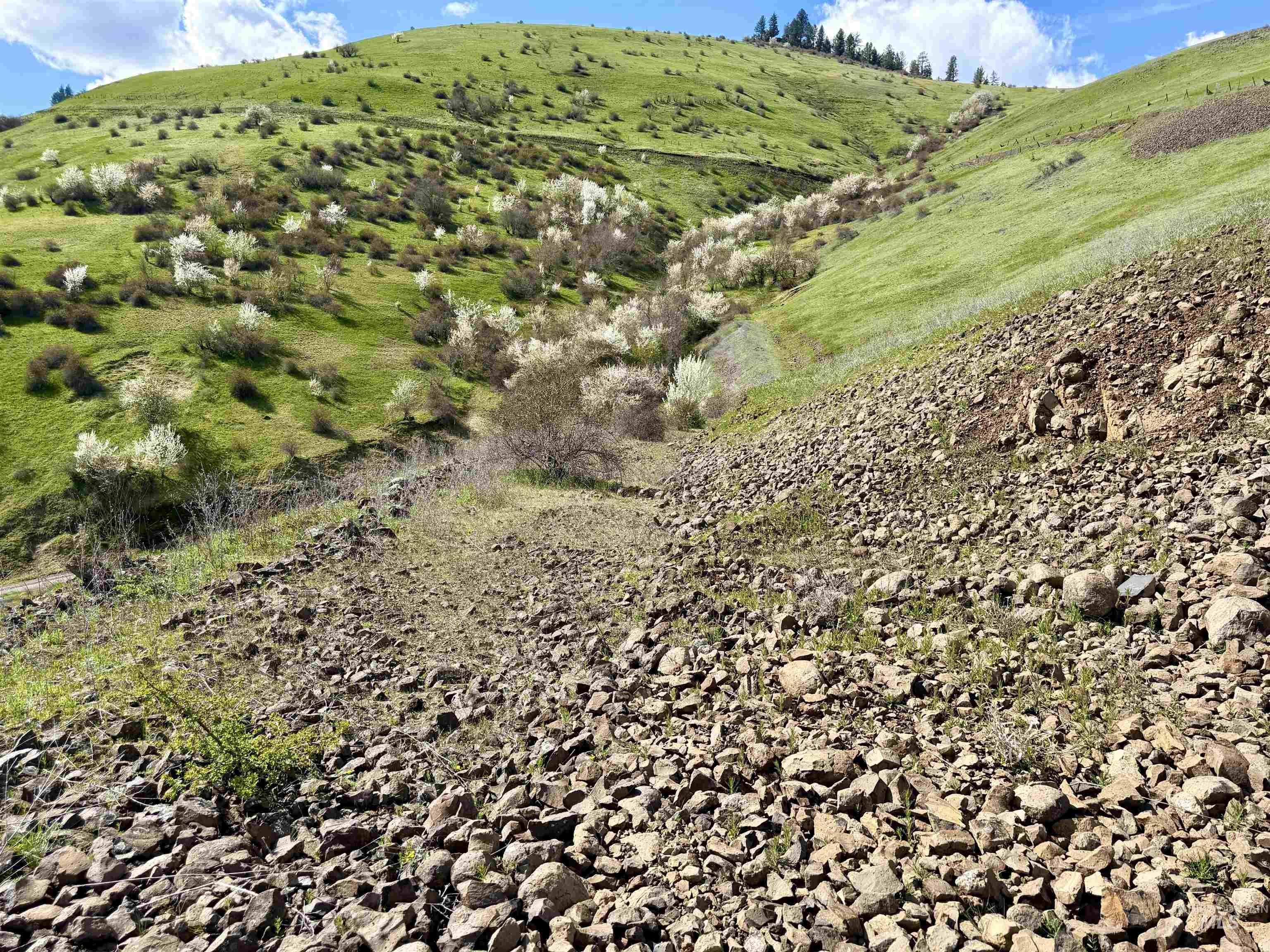 Tbd Tbd Hidden Canyon Road Kooskia, ID 83539 - Photo 10 of 15