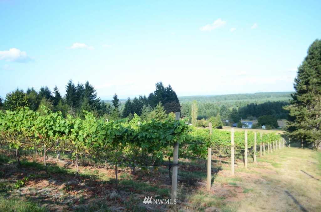463 Tennessee Road Winlock, WA 98596 - Photo 12 of 25