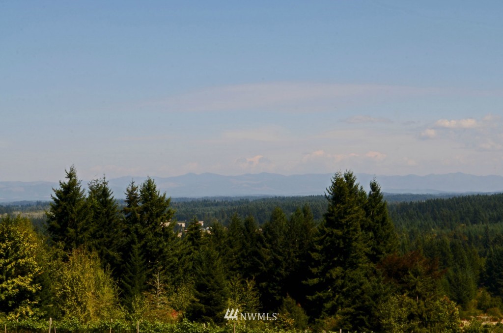 463 Tennessee Road Winlock, WA 98596 - Photo 21 of 25