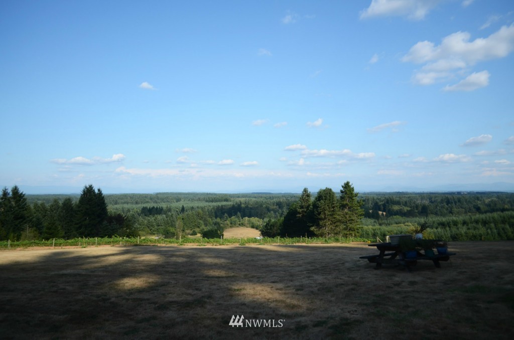 463 Tennessee Road Winlock, WA 98596 - Photo 8 of 25