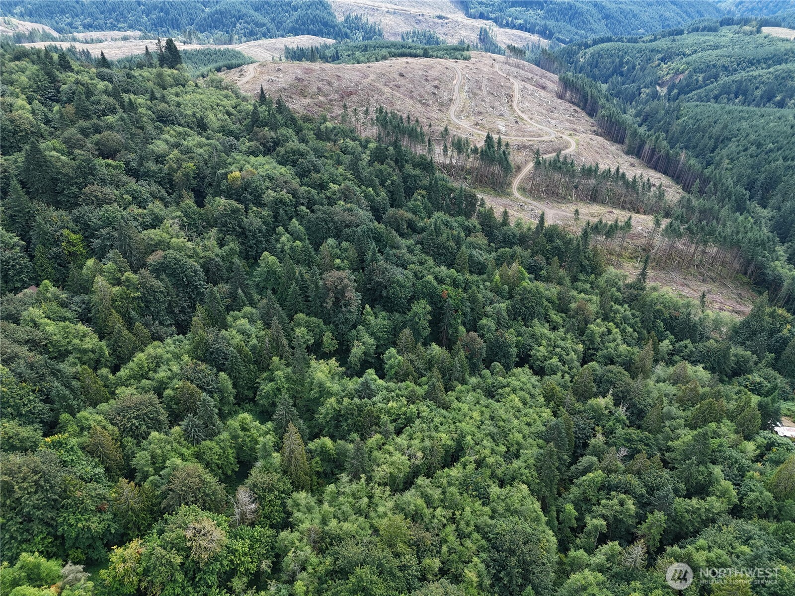 -xx Mt Pleasant Road Kelso, WA 98626 - Photo 10 of 17 Gallery Image 10
