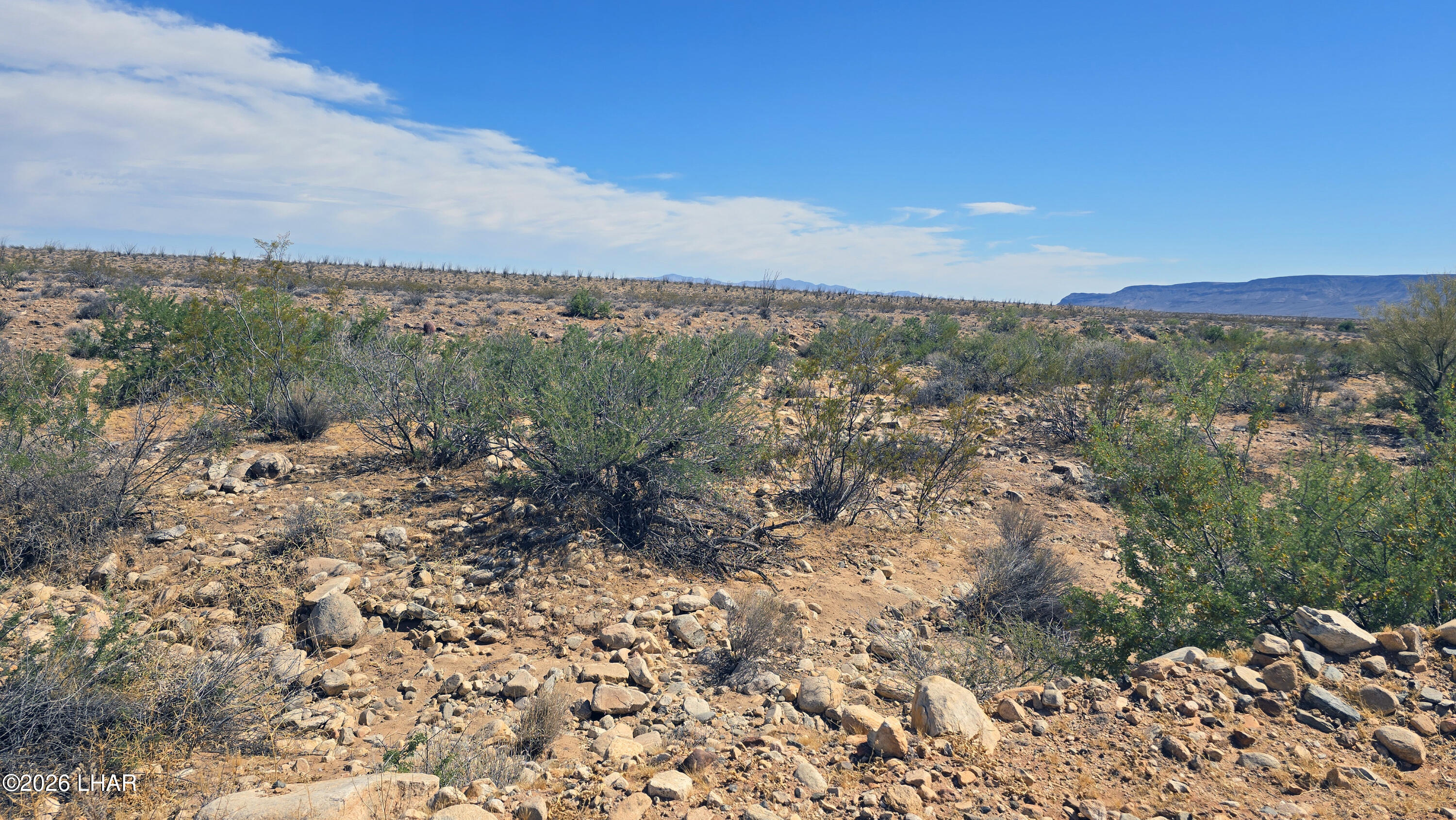 208-21-374 Lorton Road Yucca, AZ 86438 - Photo 23 of 33