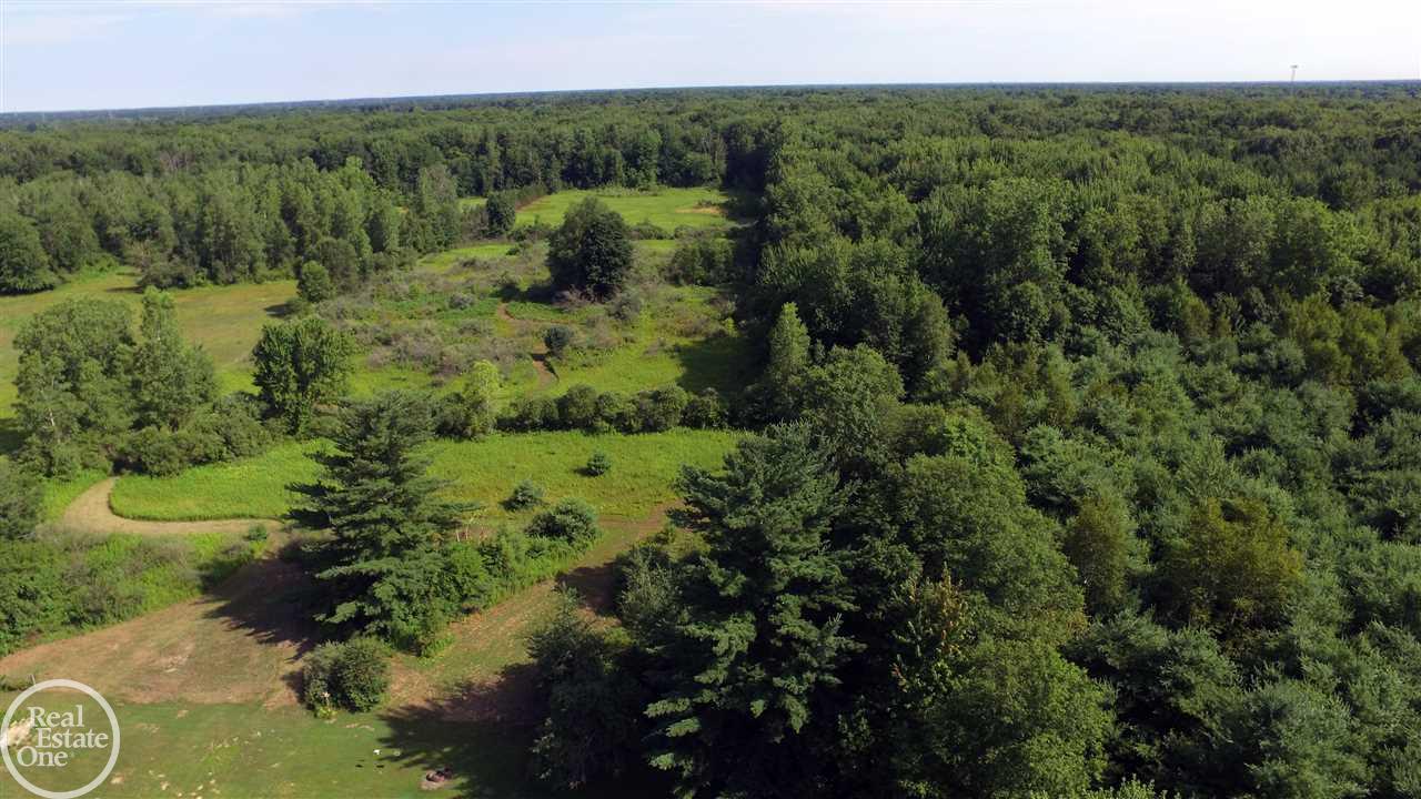 7640 Trumble Road Columbus, MI 48063 - Photo 58 of 58