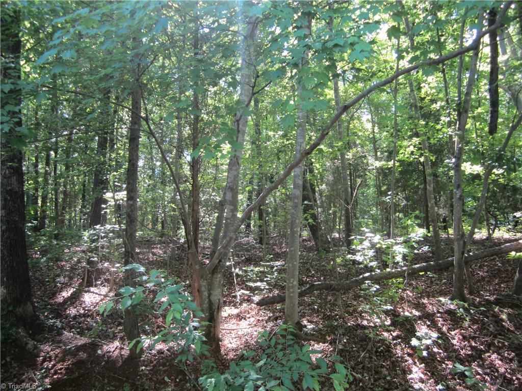 2530 Riverside Drive Lexington, NC 27292 - Photo 1 of 2 Gallery Image 1
