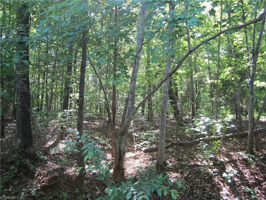 2530 Riverside Drive Lexington, NC 27292 - Photo 2 of 2 Gallery Image 2