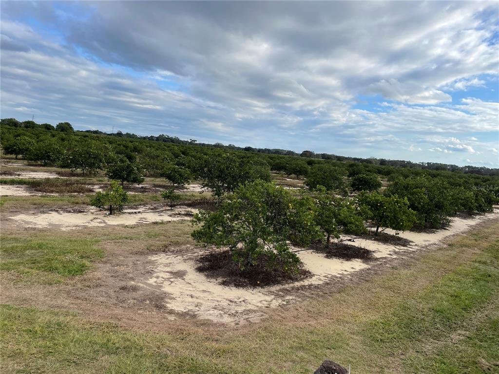 Lawrence Stewart Road Frostproof, FL 33843 - Photo 11 of 13 a view of a lake with mountains in the background