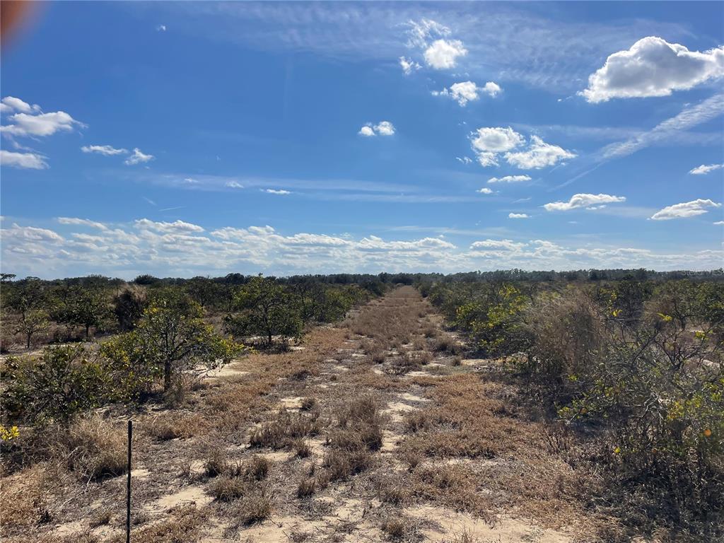 Lawrence Stewart Road Frostproof, FL 33843 - Photo 4 of 13