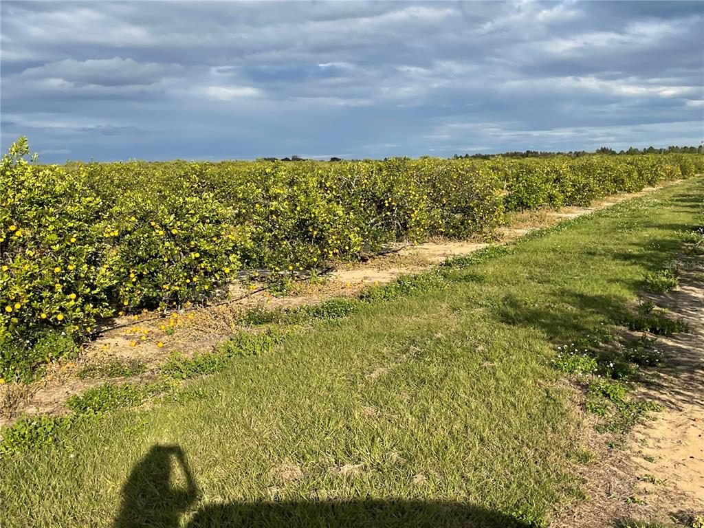 Lawrence Stewart Road Frostproof, FL 33843 - Photo 9 of 13 a view of an ocean