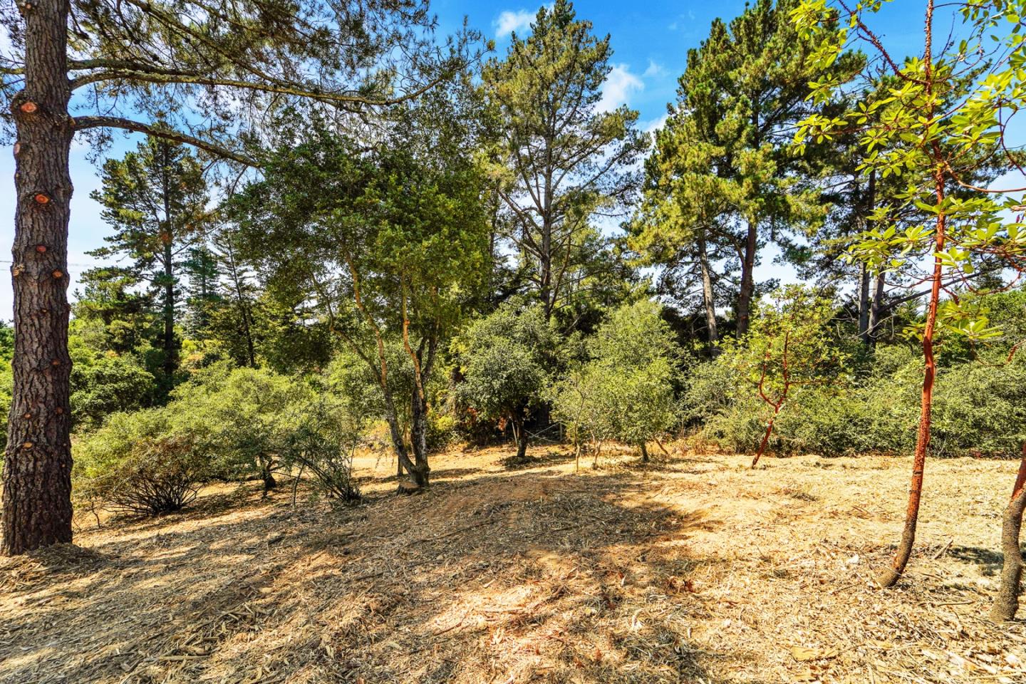 1210 Amesti Road Watsonville, CA 95076 - Photo 49 of 51 Gallery Image 49