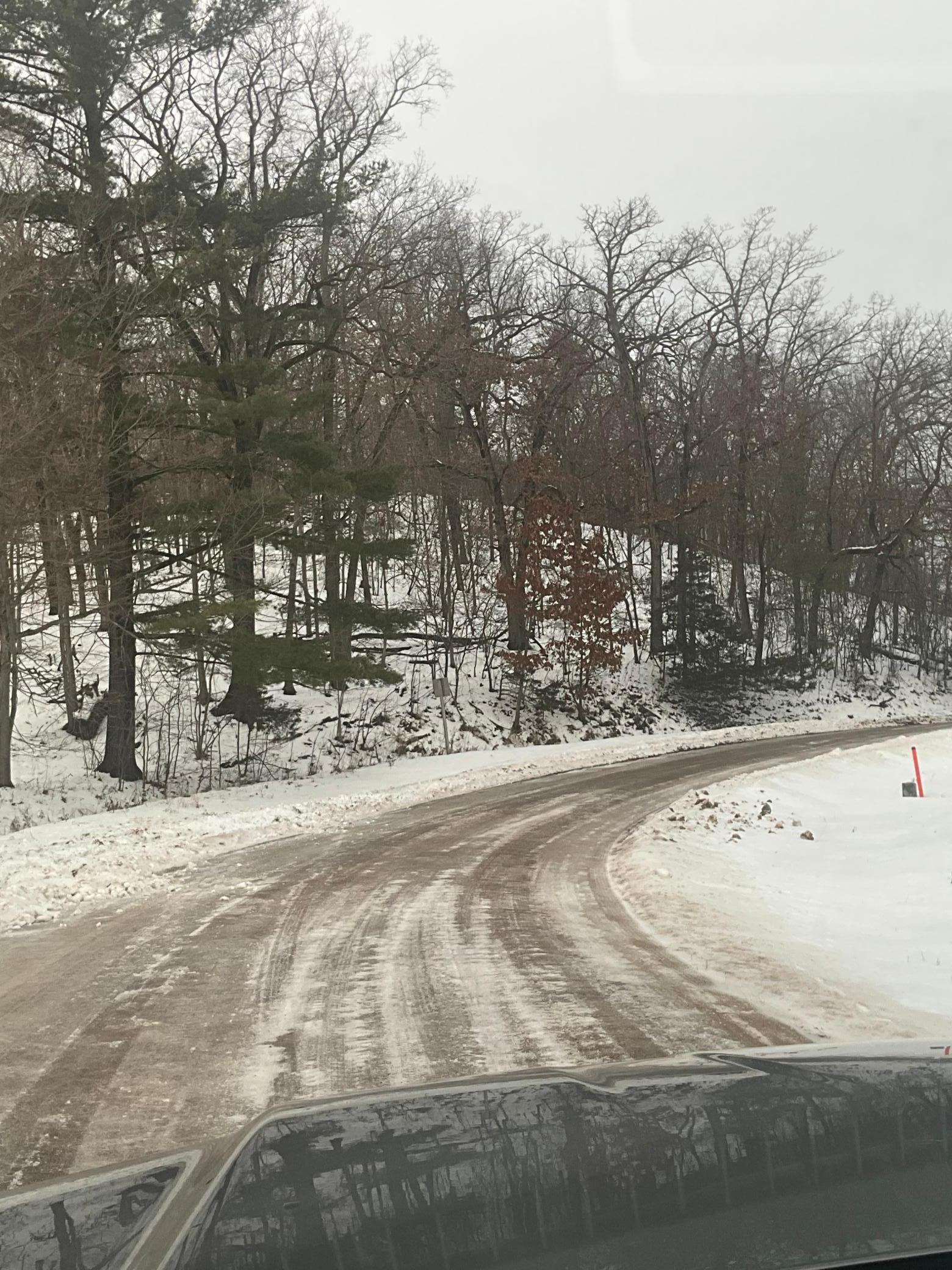 Tbd Back Valley Road Pepin, WI 54759 - Photo 4 of 11