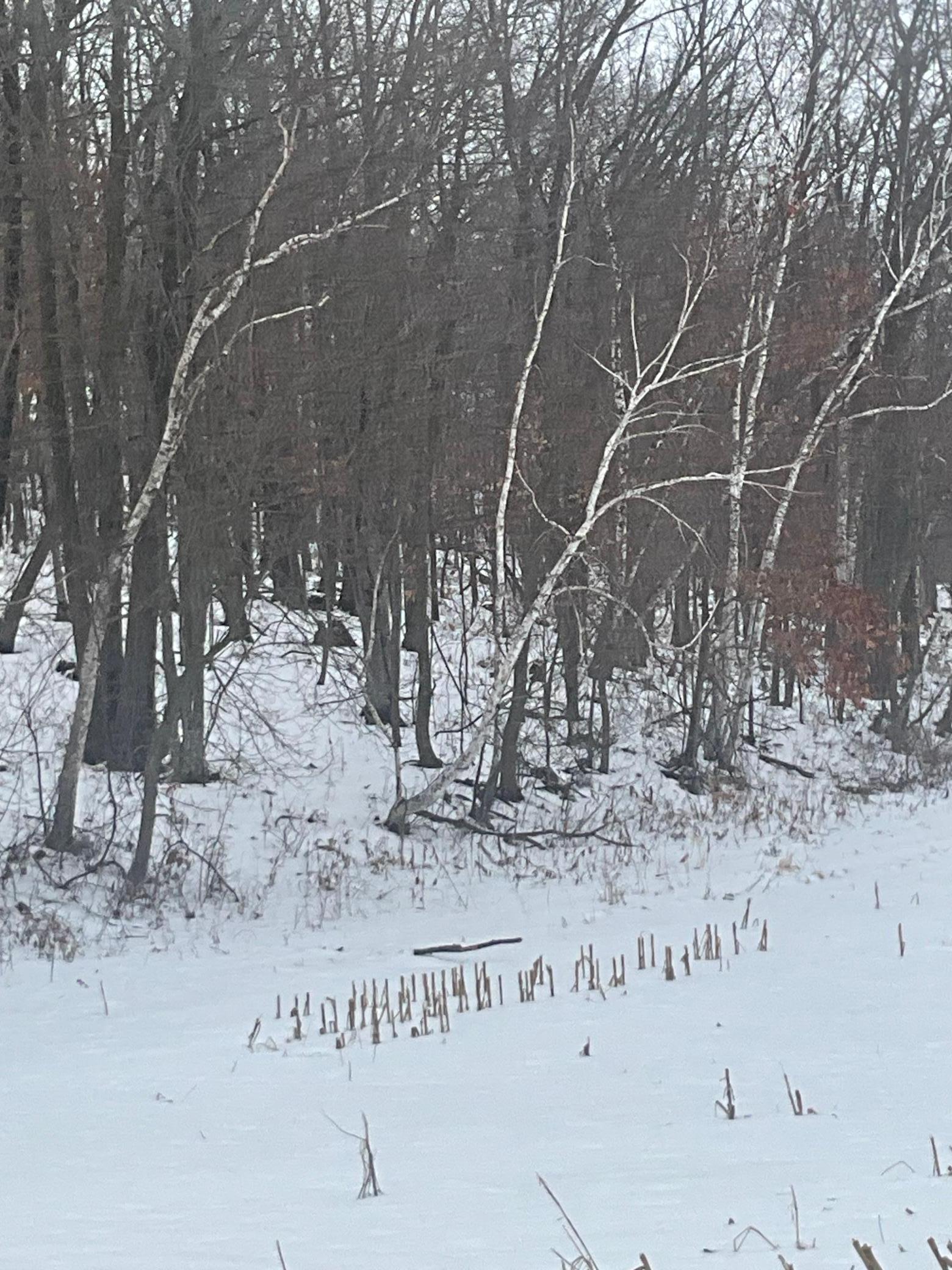 Tbd Back Valley Road Pepin, WI 54759 - Photo 6 of 11