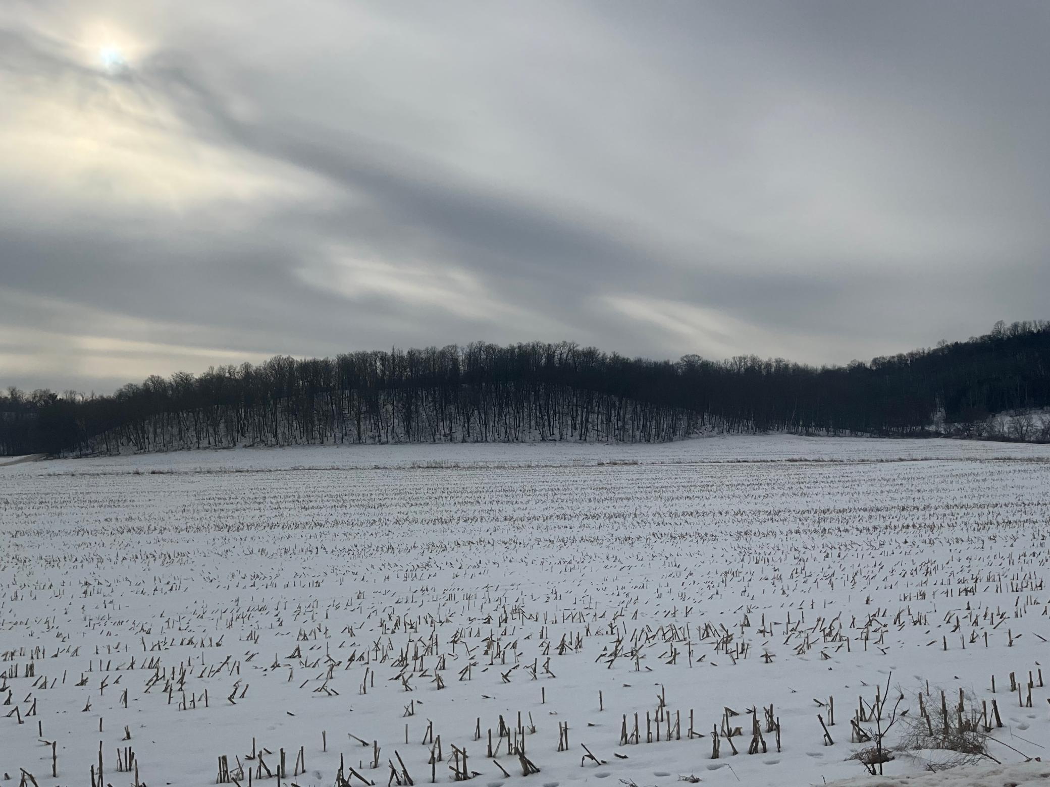 Tbd Back Valley Road Pepin, WI 54759 - Photo 7 of 11