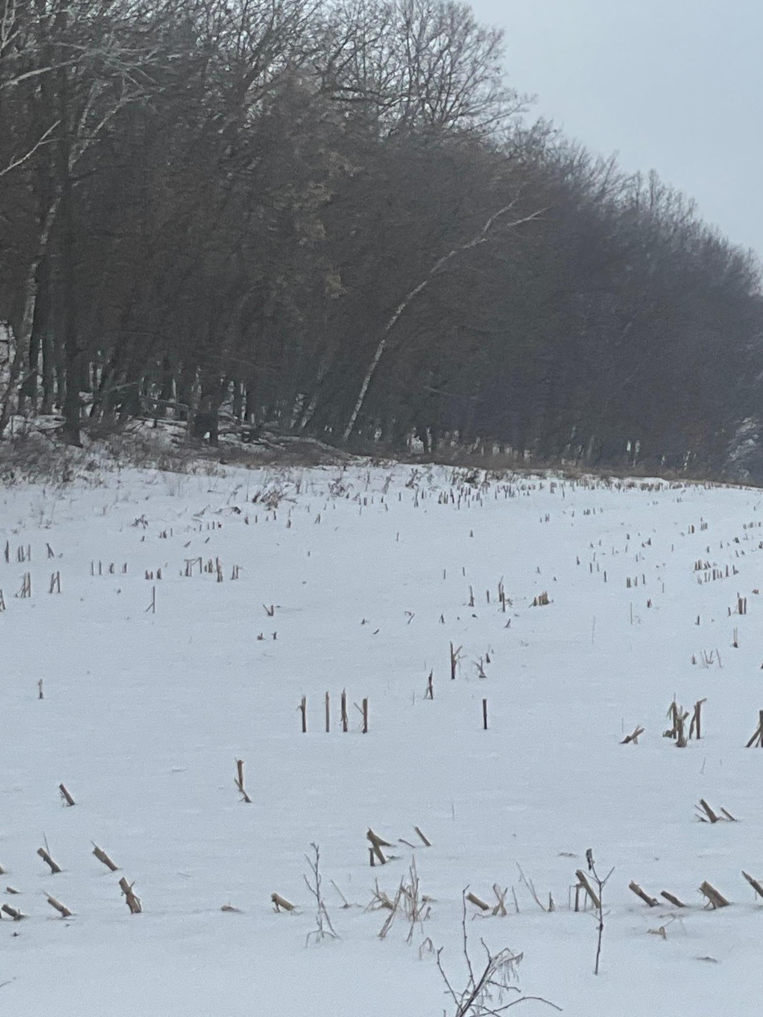 Tbd Back Valley Road Pepin, WI 54759 - Photo 8 of 11