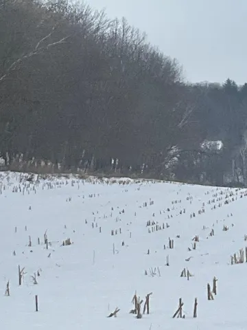 $189,900 | Tbd Back Valley Road, Pepin, WI 54759