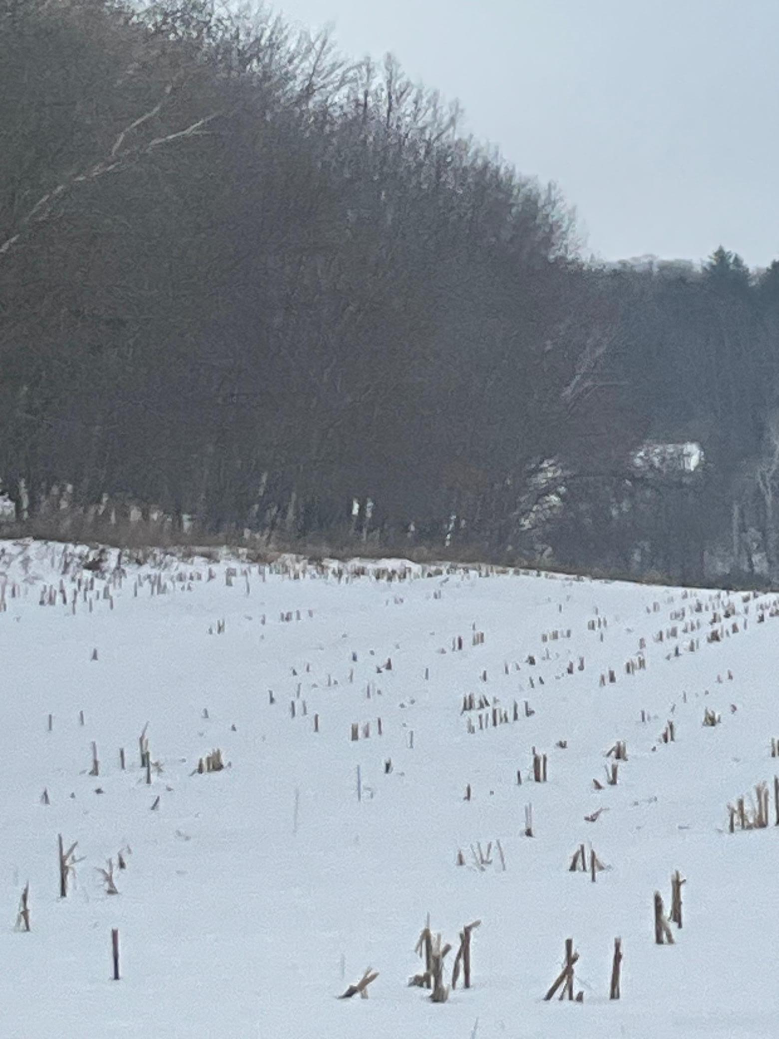 Tbd Back Valley Road Pepin, WI 54759 - Photo 9 of 11