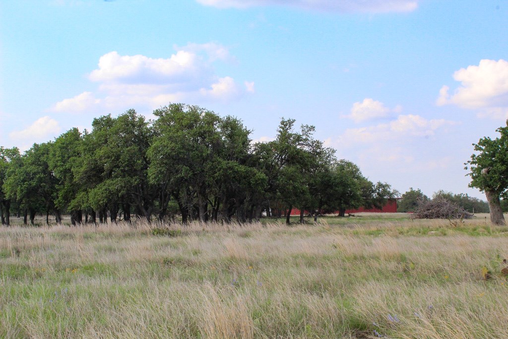 258 Apache Trace Northwest Harper, TX 78631 - Photo 2 of 3 a view of outdoor space and a yard