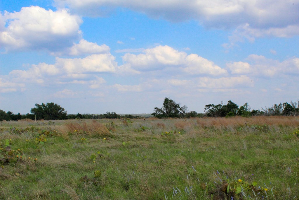 258 Apache Trace Northwest Harper, TX 78631 - Photo 3 of 3 a view of a lake and mountain in the back