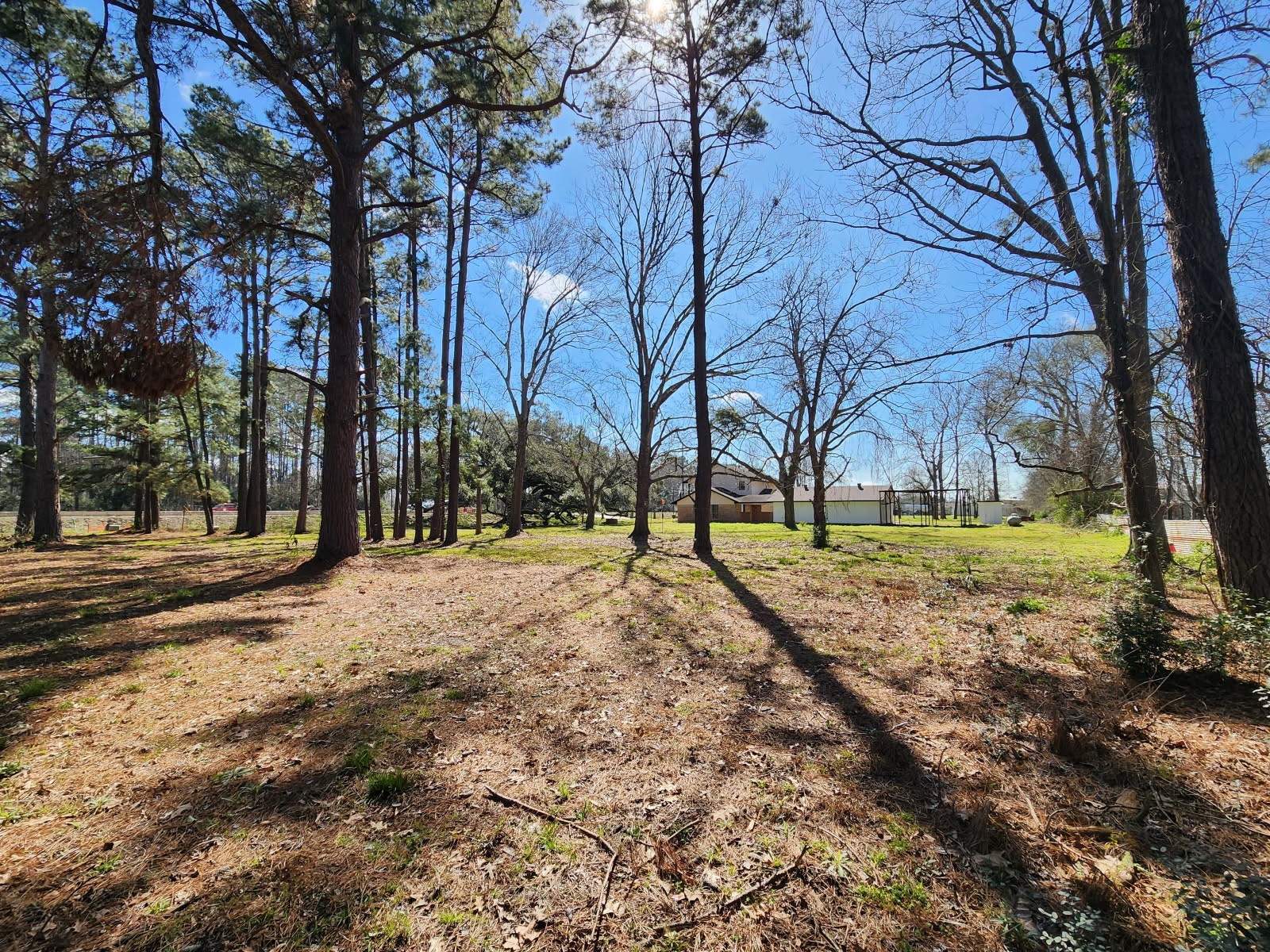 25609 Fm 2100 Road Huffman, TX 77336 - Photo 2 of 6