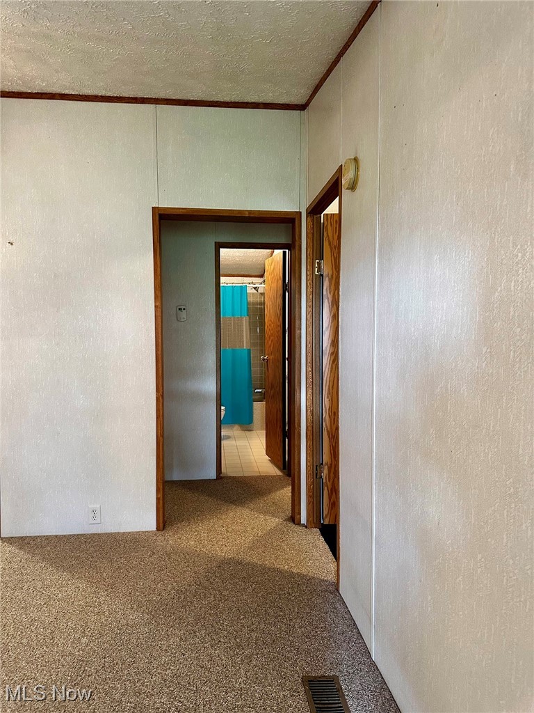 347 Brownville Road Rome, OH 44085 - Photo 21 of 36 Hall featuring a textured ceiling, light carpet, and ornamental molding