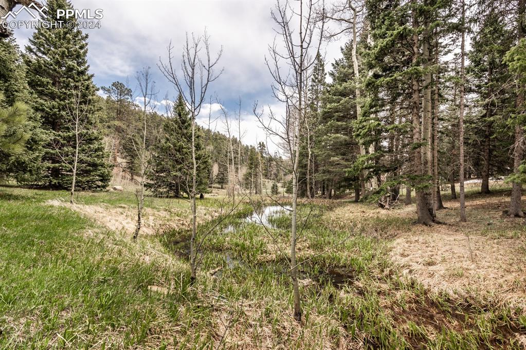 441 Westcliffe Drive Rye, CO 81069 - Photo 24 of 29 a view of yard with trees