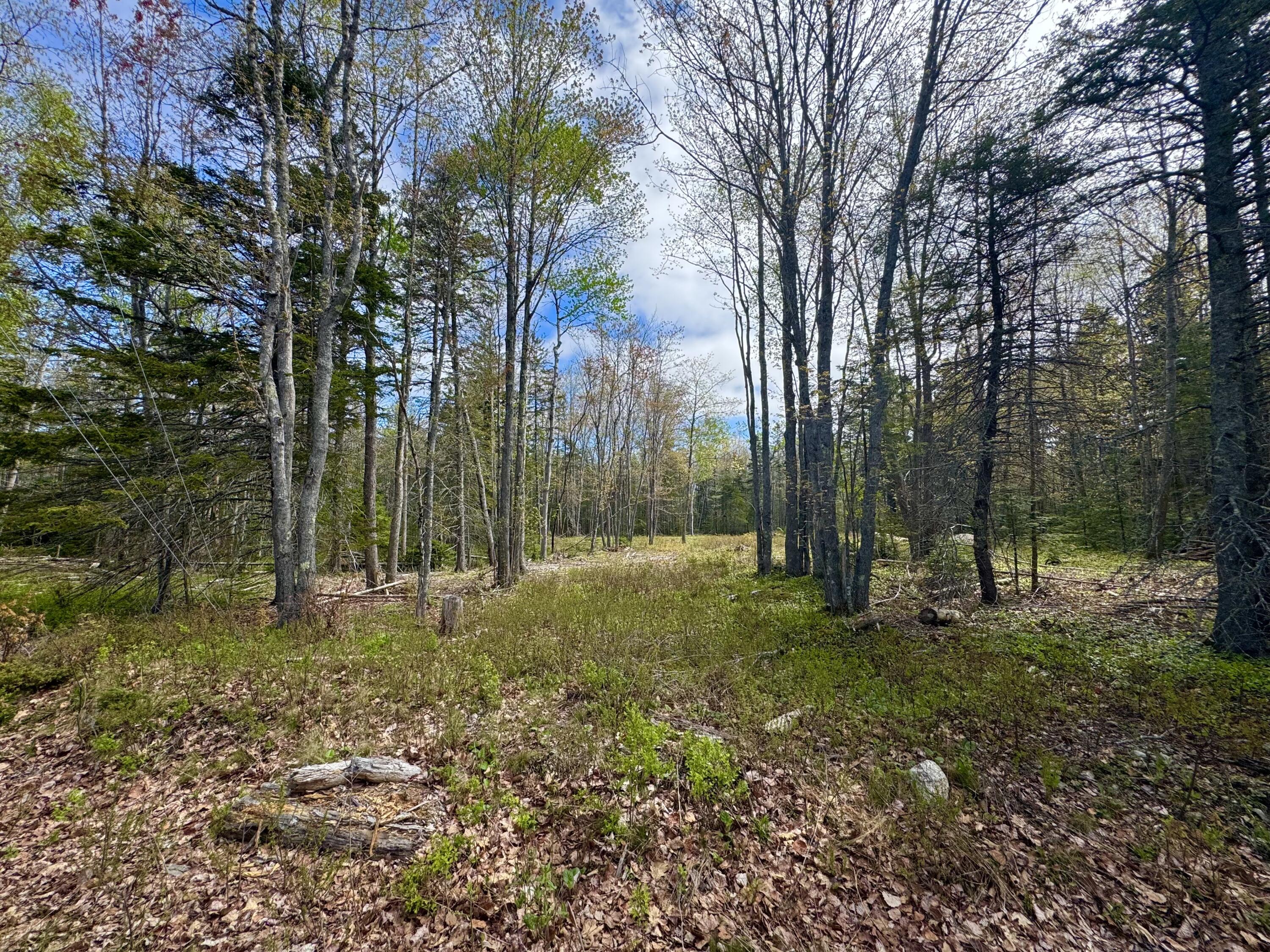 Lot 79-01 Knox Road Bar Harbor, ME 04609 - Photo 8 of 9 8