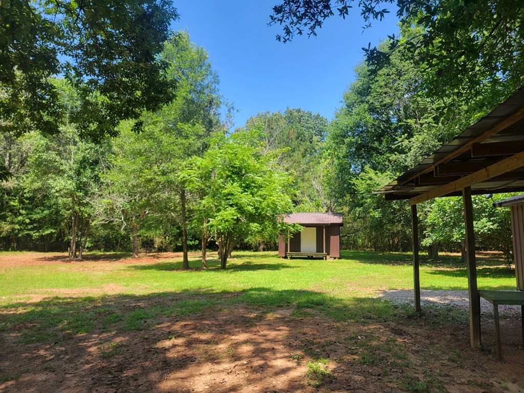 1114 Reedy Creek Road Bradley, SC 29819 - Photo 37 of 59