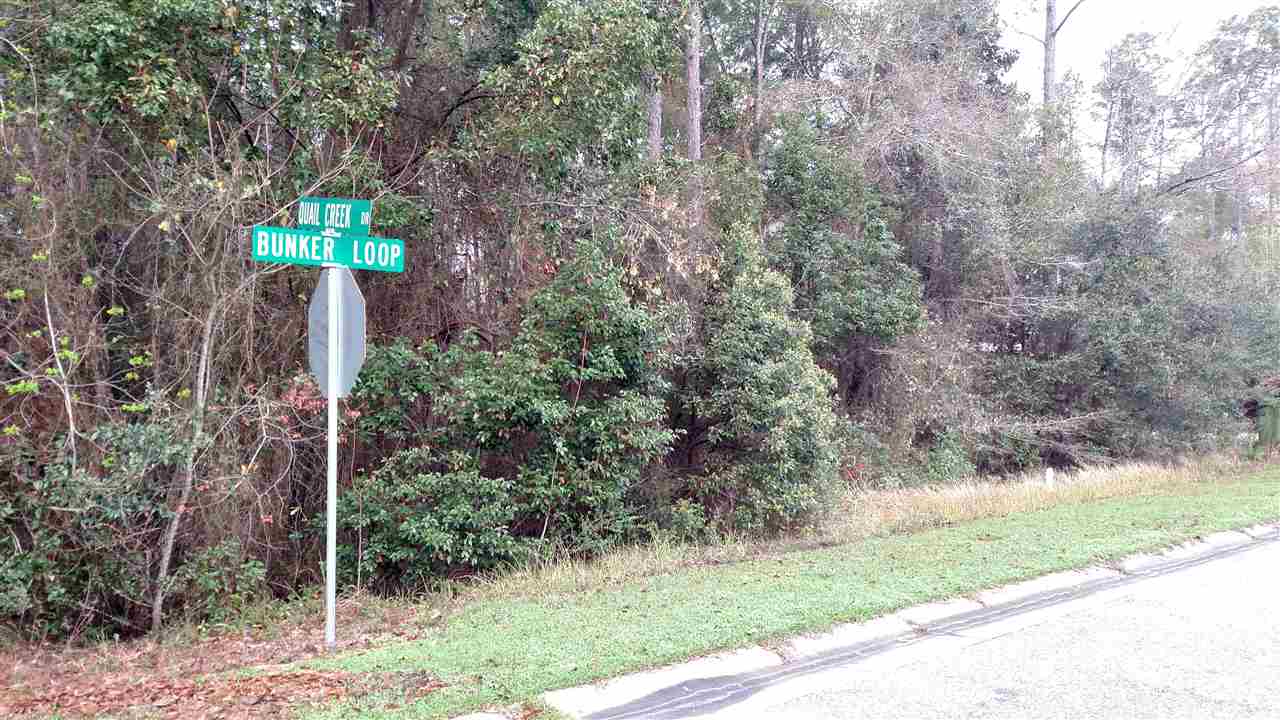 20124 Bunker Loop Fairhope, AL 36532 - Photo 9 of 13