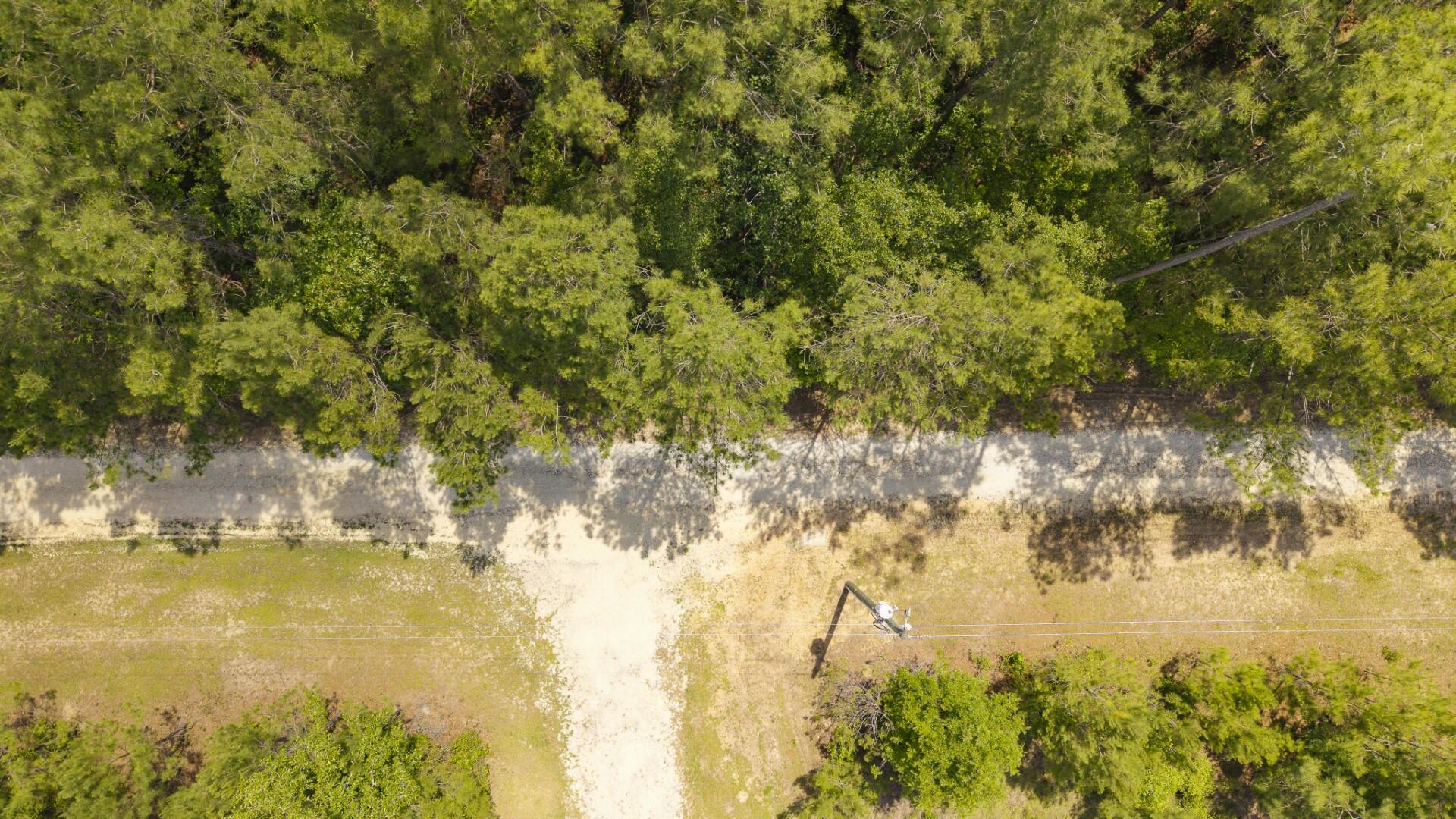 6222 Saints Delight Road Georgetown, SC 29440 - Photo 18 of 31 Saint Delight 2 Acres-15