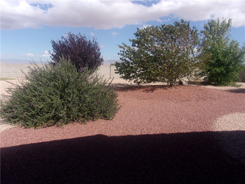 5414 Eagle View Road Kingman, AZ 86409 - Photo 10 of 39 View of yard