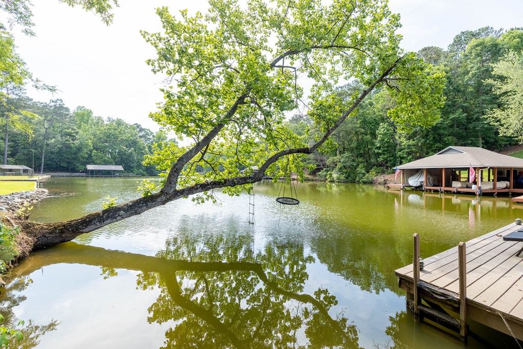 244 Miller Road Hamilton, GA 31811 - Photo 35 of 38 Gallery Image 35