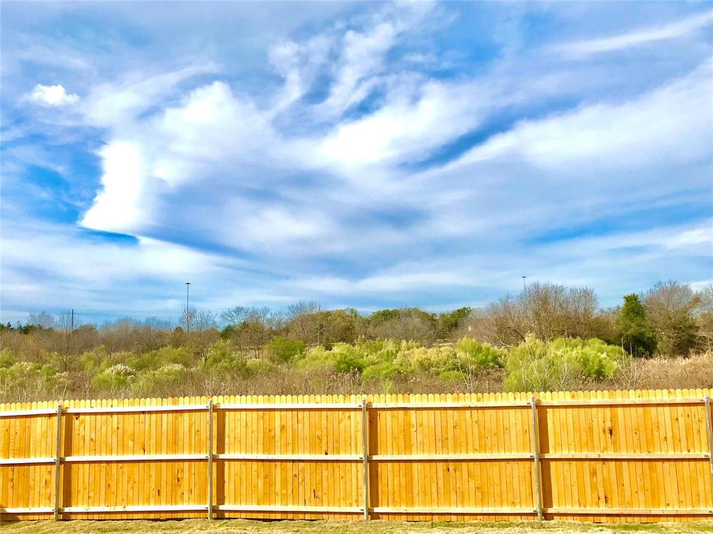 6408 Rienzi Drive Greenville, TX 75402 - Photo 19 of 20 a view of an ocean