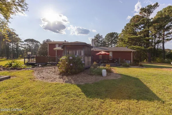 a view of a backyard with plants and large tree