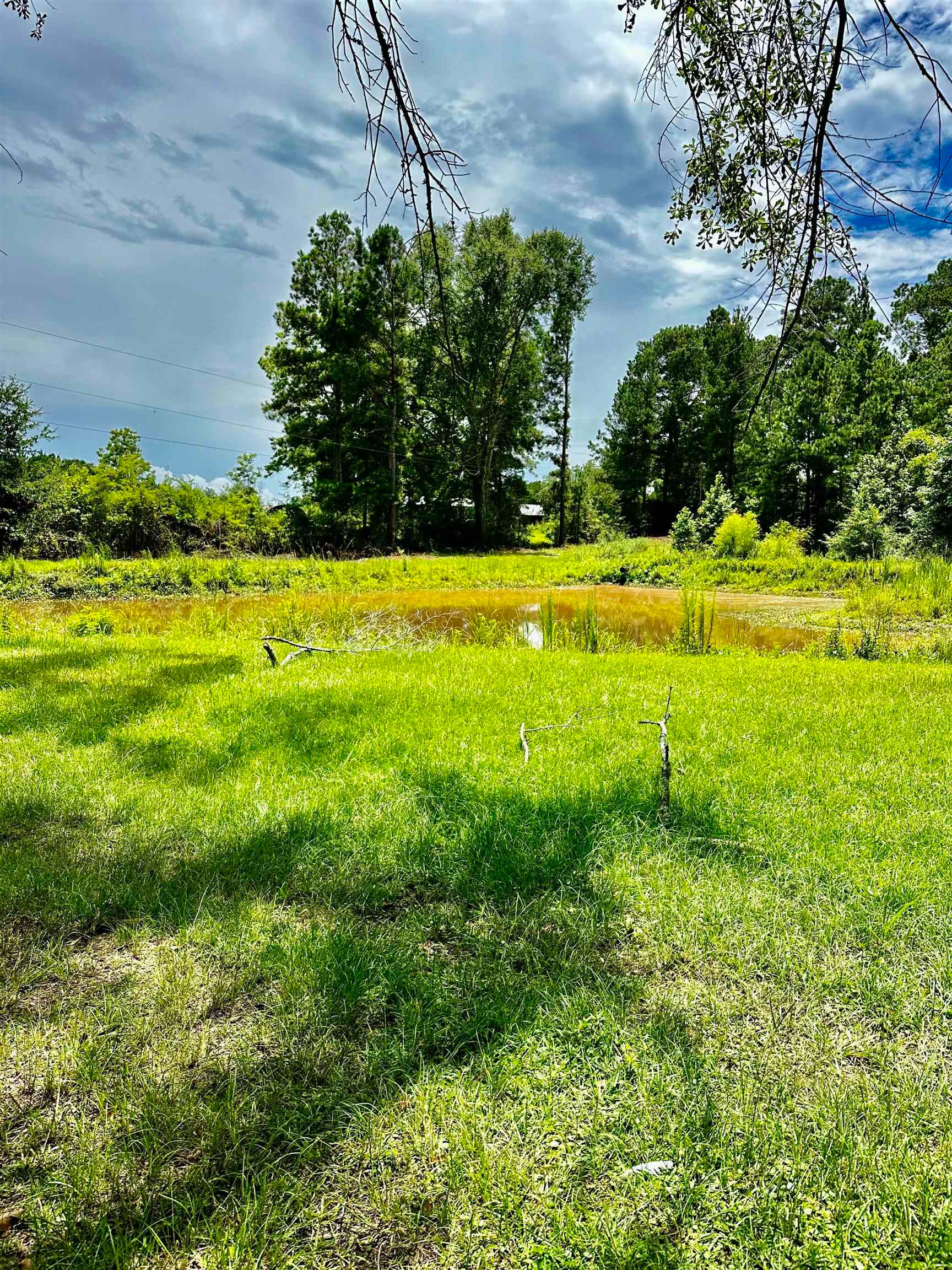 23264 Old Dragstrip Road Andalusia, AL 36421 - Photo 3 of 38 Gallery Image 3