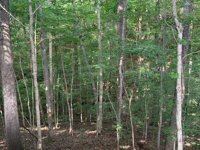 0 Collins Road Allons, TN 38541 - Photo 6 of 7 Gallery Image 6