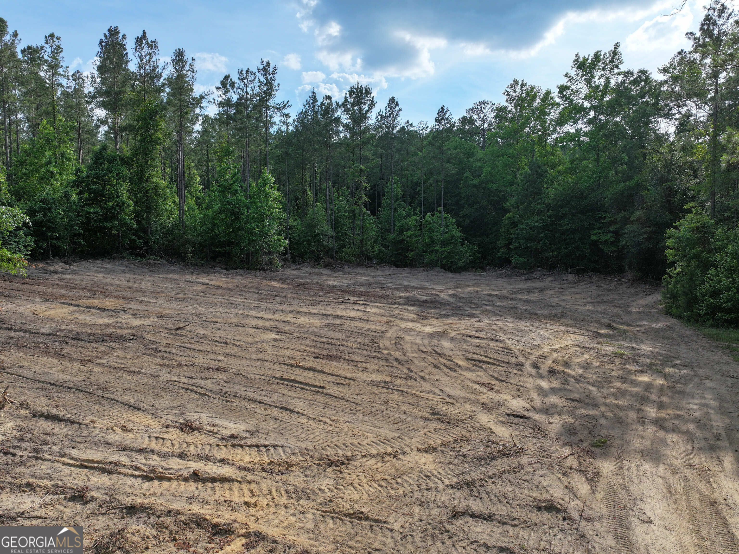 195 County Line Road Morris, GA 39867 - Photo 8 of 69 Gallery Image 8