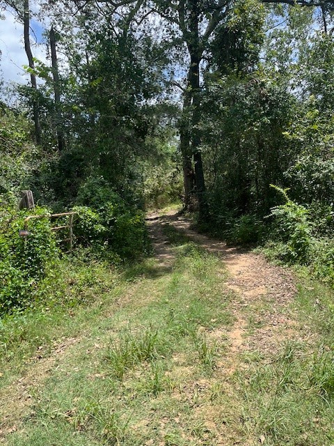 13994 Walker Road Conroe, TX 77302 - Photo 2 of 5 a view of outdoor space and yard