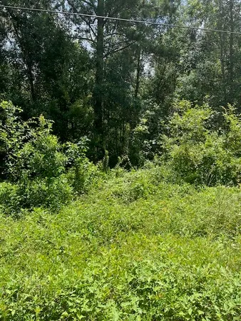a view of a green field
