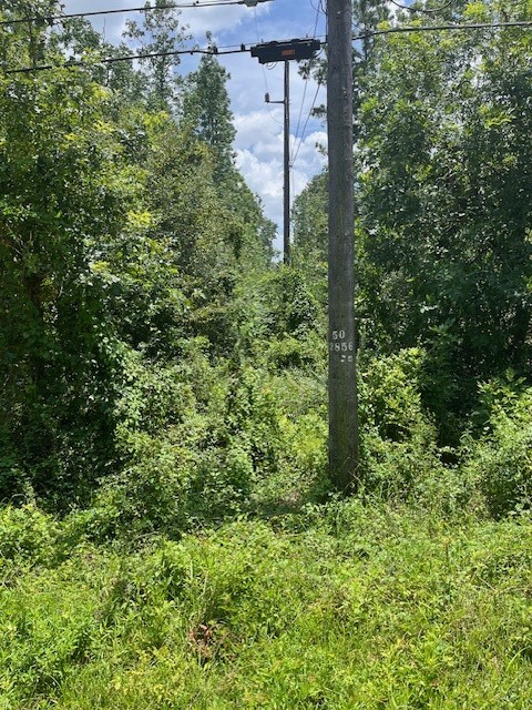 13994 Walker Road Conroe, TX 77302 - Photo 5 of 5 a view of a garden
