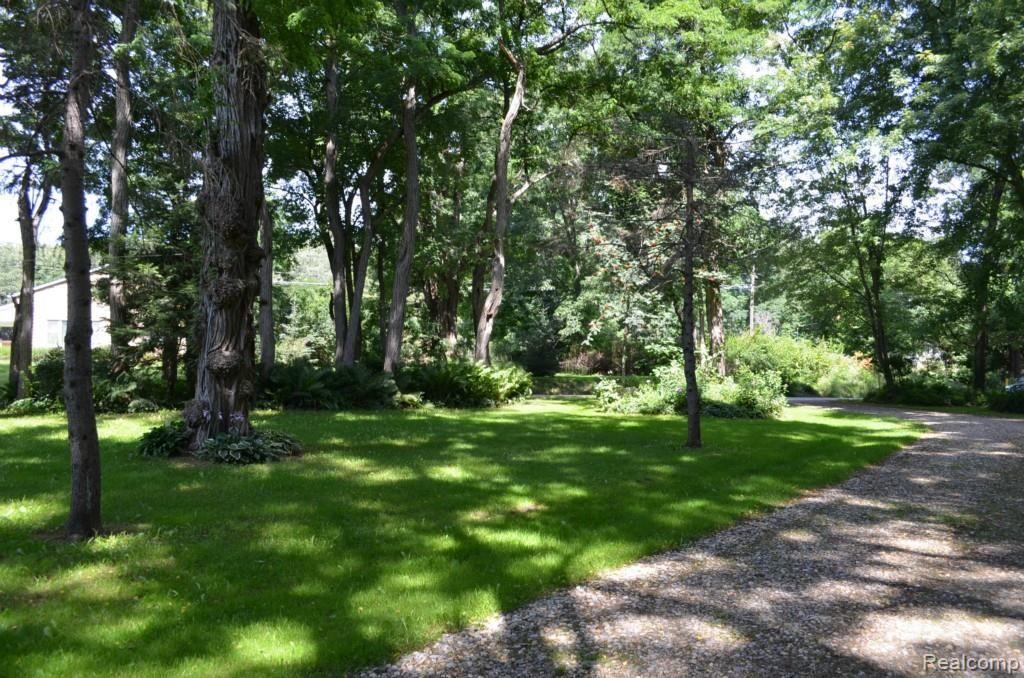 7034 Ridgewood Road Clarkston, MI 48346 - Photo 44 of 50 Mature Trees.jpg